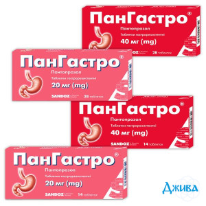 ПанГастро - купити Україна