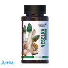 Гриб Радуга Mushroom Pharmacy Veselka - купить Украина