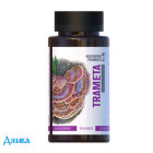 Гриб Трамета Mushroom Pharmacy Trameta - купить Украина
