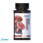 Гриб Шиитаке - купить Украина