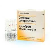 Церебрум композитум - купити Україна