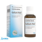 Галиум-хеель - купить Украина