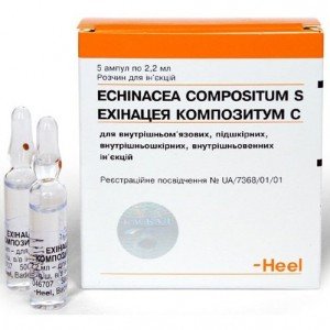 Ехінацея композитум с - купити Україна