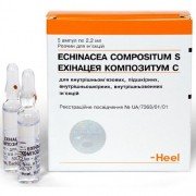 Эхинацея композитум с - купить Украина