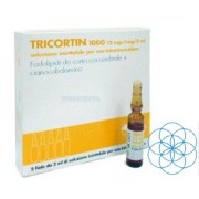 Трикортин (Tricortin) 1000 - купить Украина